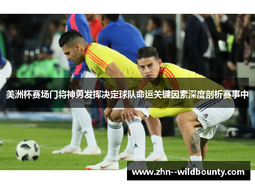 美洲杯赛场门将神勇发挥决定球队命运关键因素深度剖析赛事中