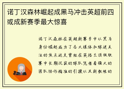 诺丁汉森林崛起成黑马冲击英超前四或成新赛季最大惊喜